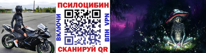 сколько стоит  Дзержинский  Псилоцибиновые грибы GOLDEN TEACHER 